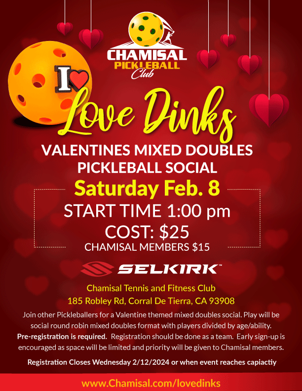 Love Dinks Flyer